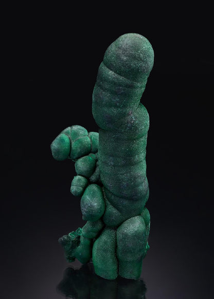 CC50948 specimen image