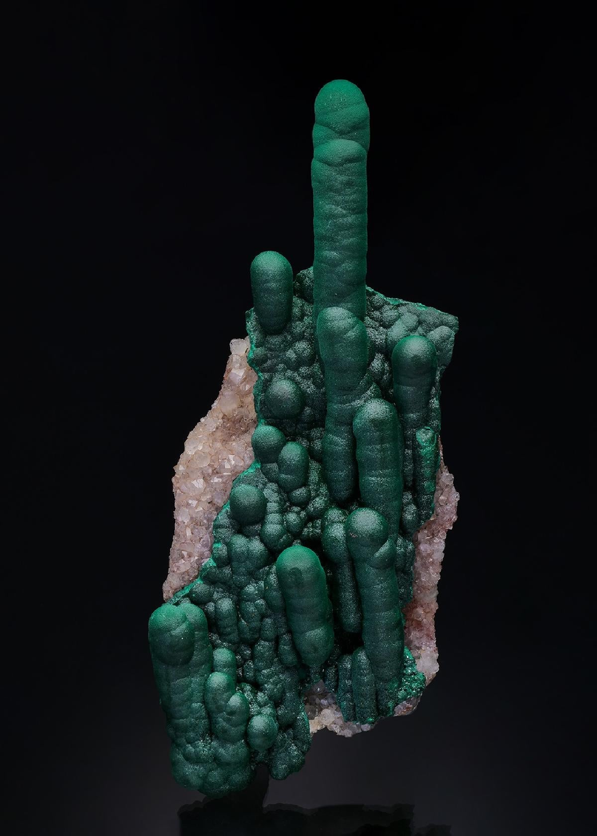 CC50950 specimen image