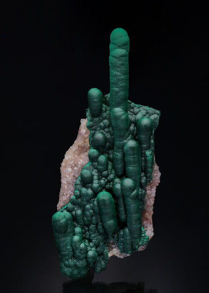 CC50950 specimen image