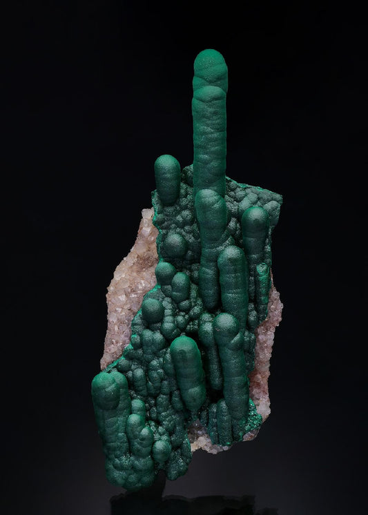 CC50950 specimen image