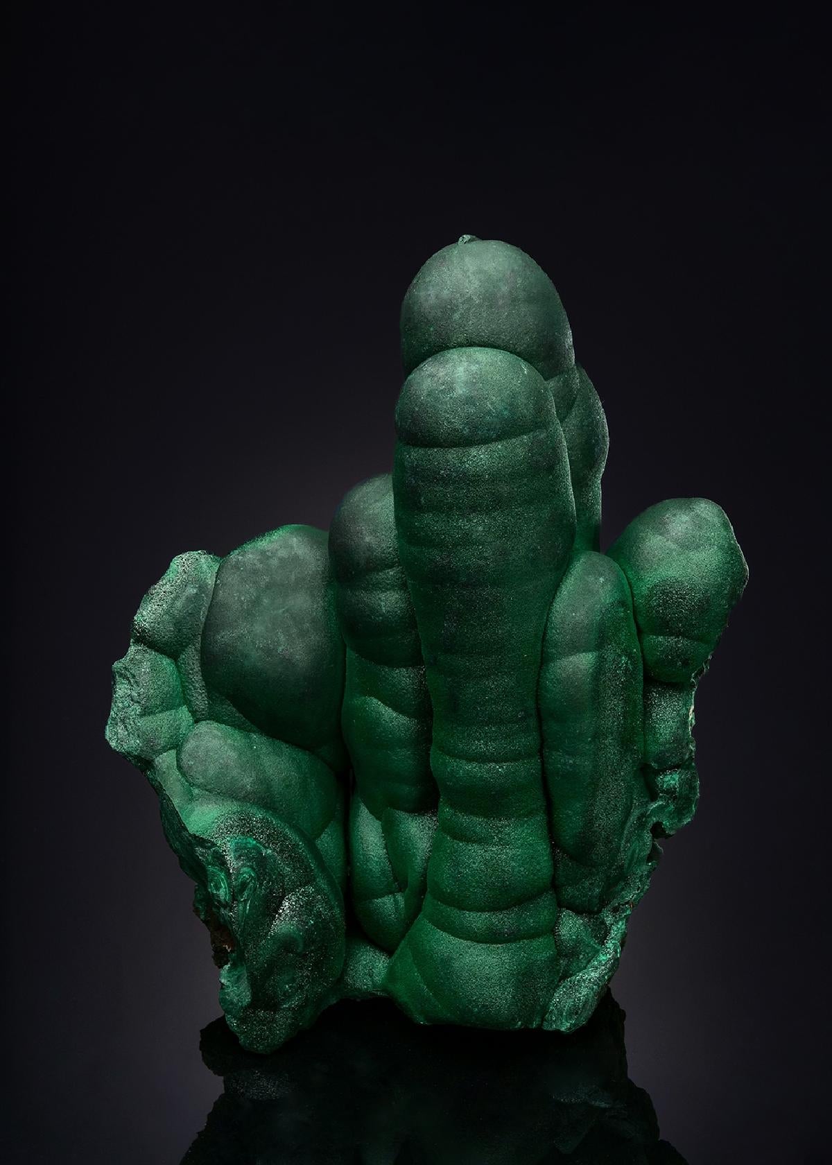 CC50952 specimen image