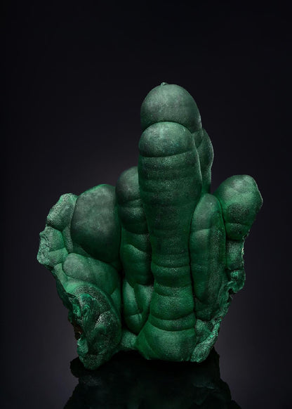 CC50952 specimen image