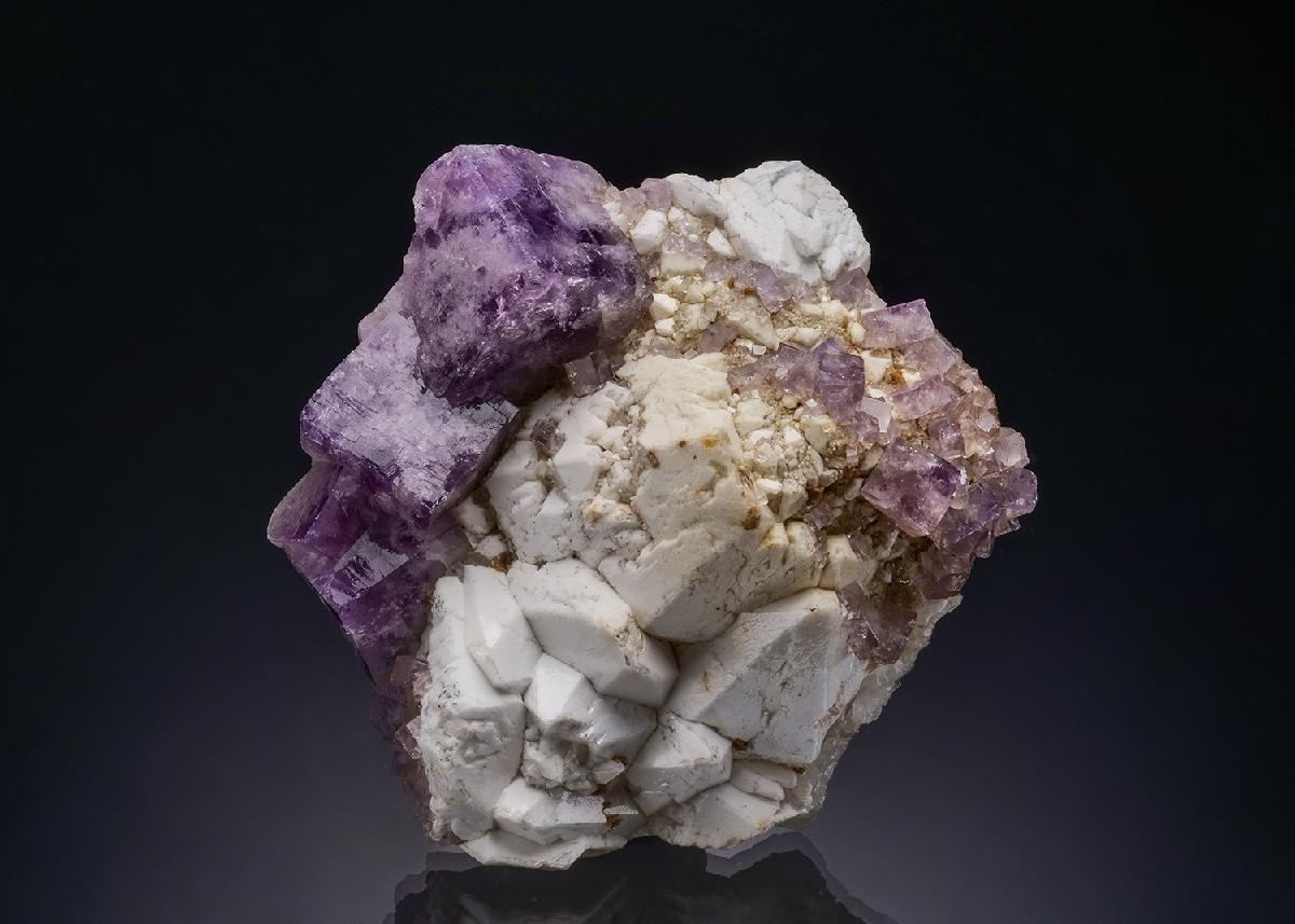 CC50990 specimen image