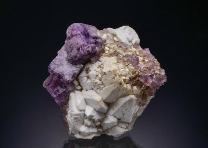 CC50990 specimen image