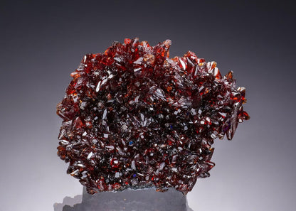 CC51010 specimen image