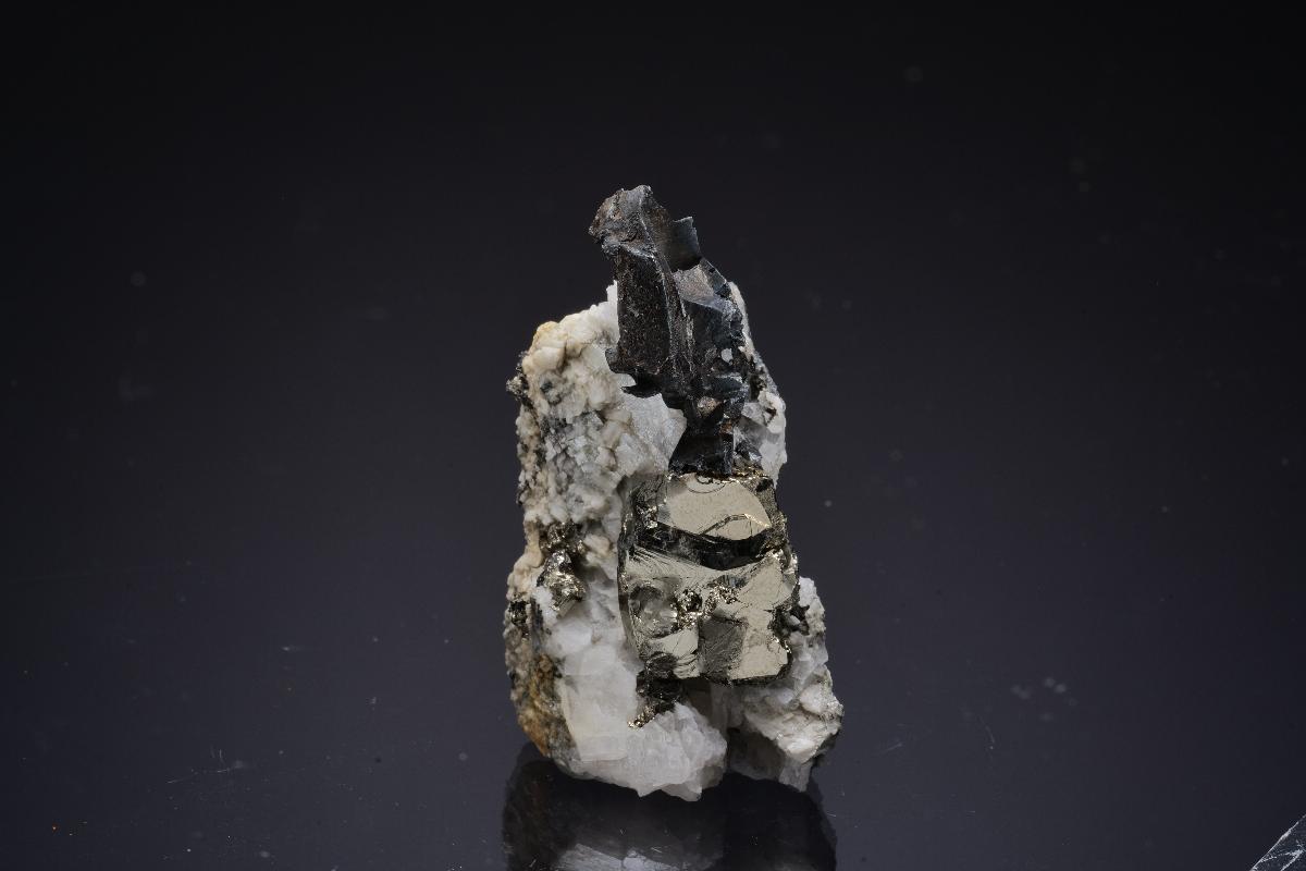 CC51016 specimen image
