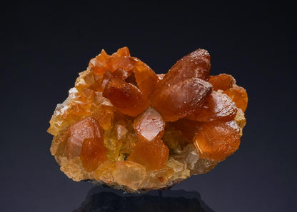CC51018 specimen image