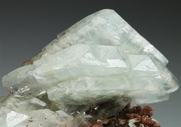 CC5110 specimen image