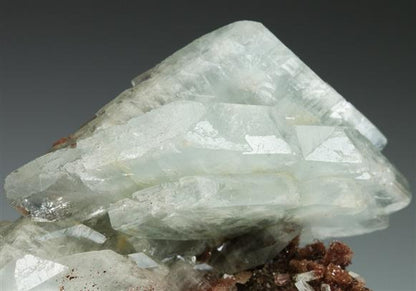 CC5110 specimen image