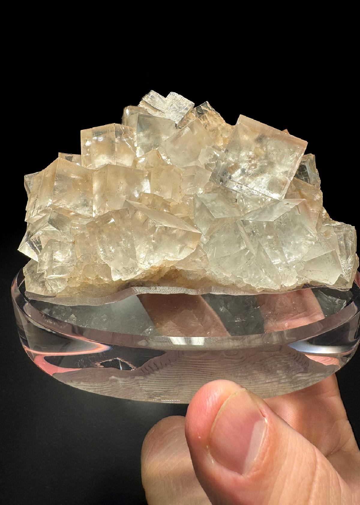 CC51102 specimen image