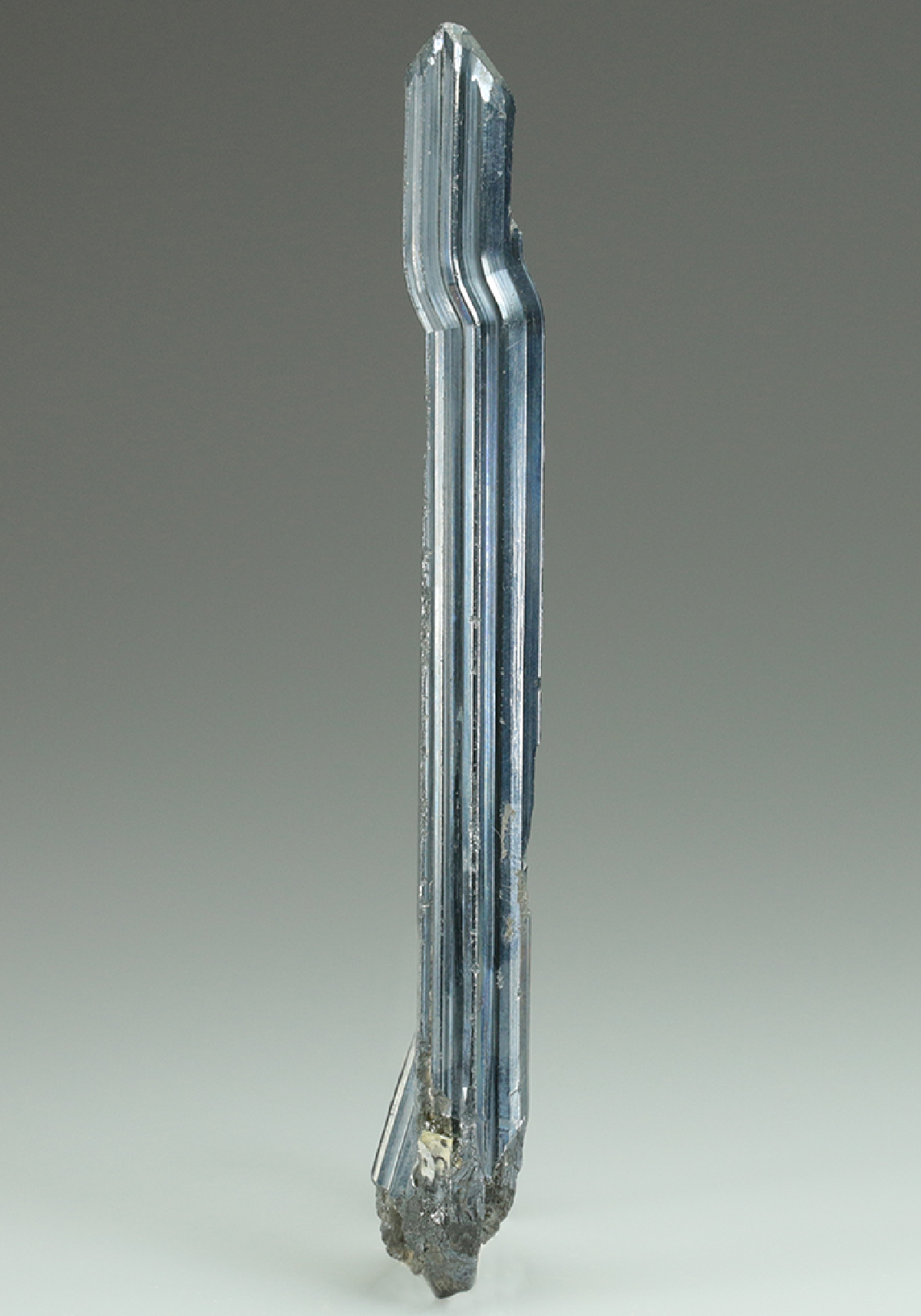 CC5121 specimen image