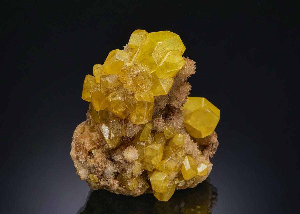 CC51391 specimen image