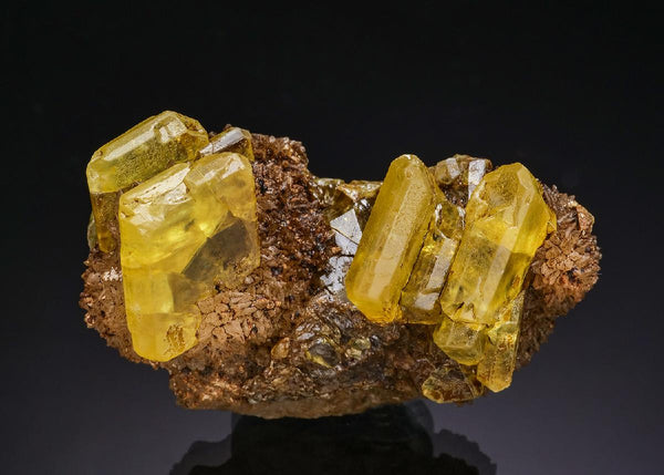 CC51395 specimen image