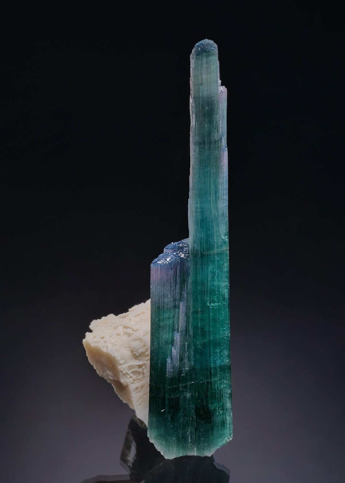 CC51514 specimen image