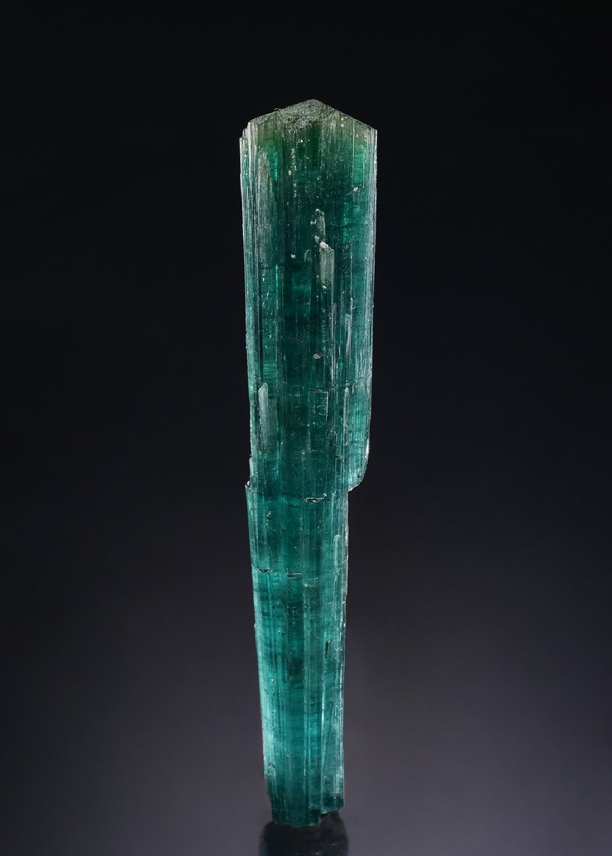 CC51518 specimen image