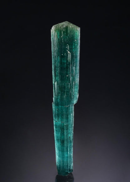 CC51518 specimen image