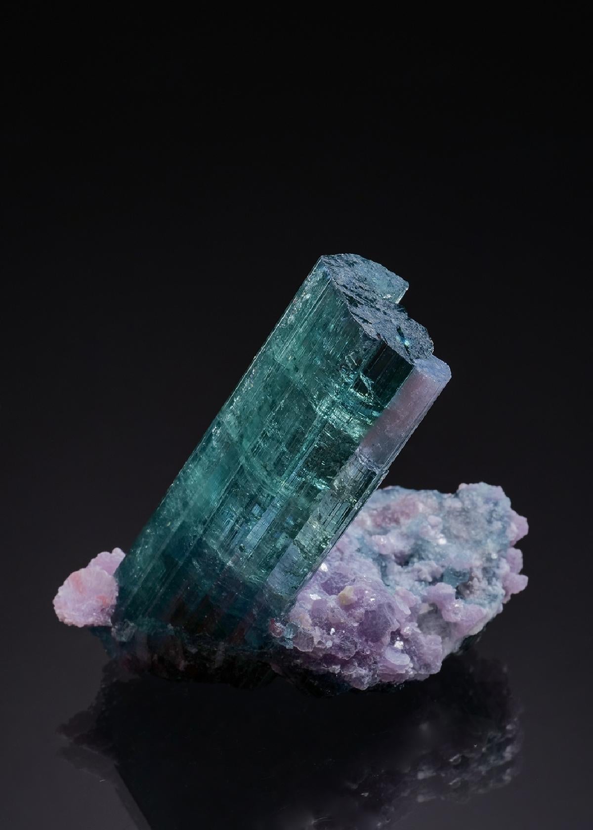 CC51528 specimen image