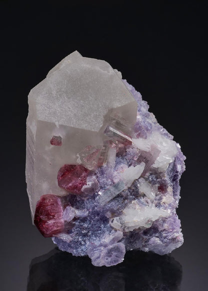 CC51530 specimen image