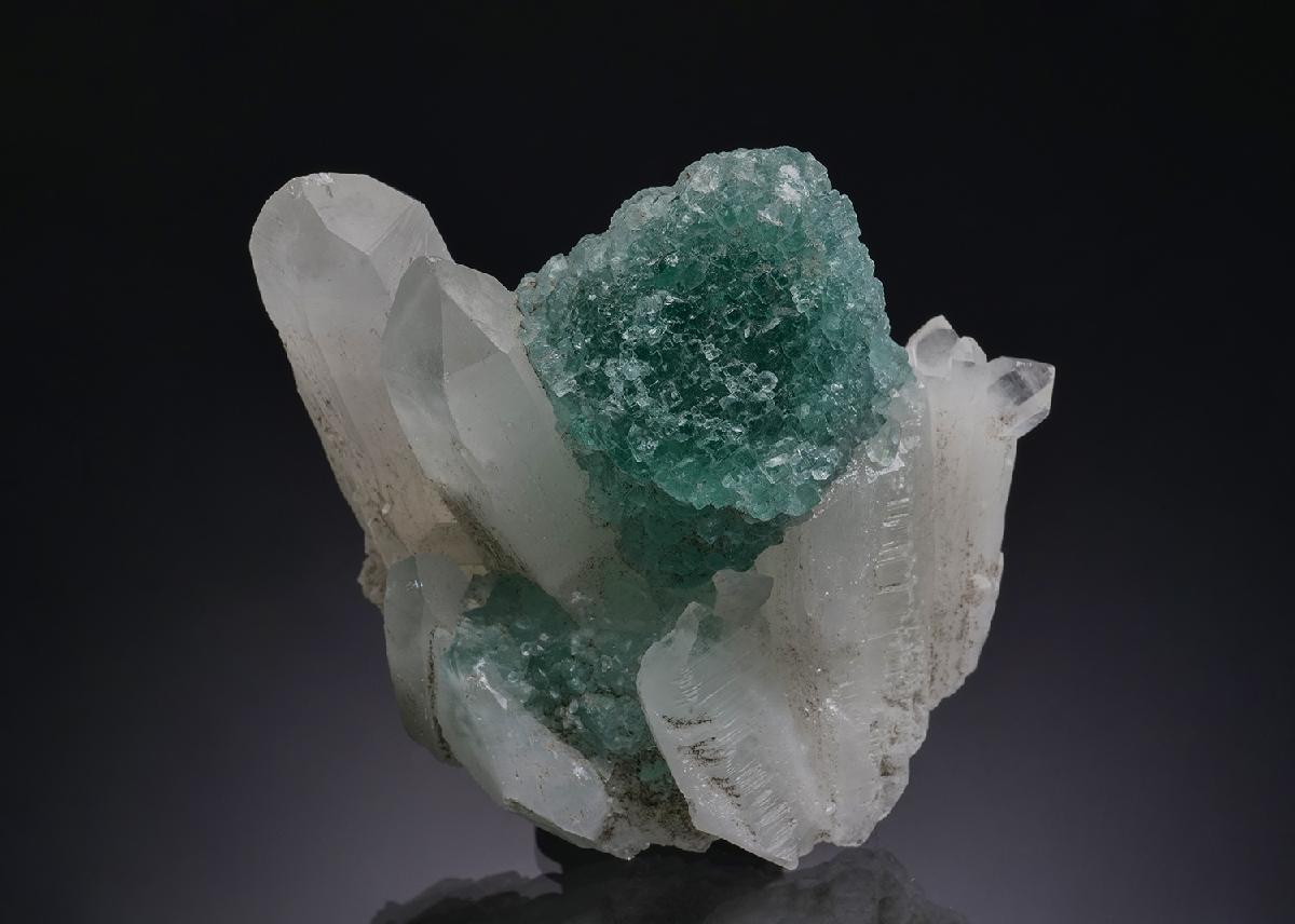 CC51534 specimen image