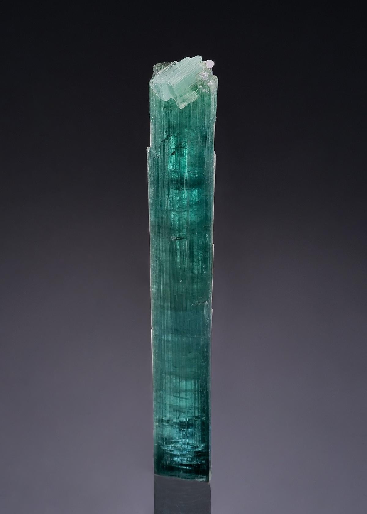 CC51546 specimen image