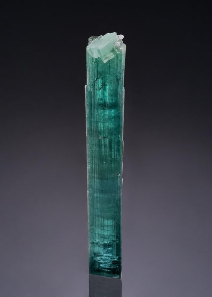 CC51546 specimen image