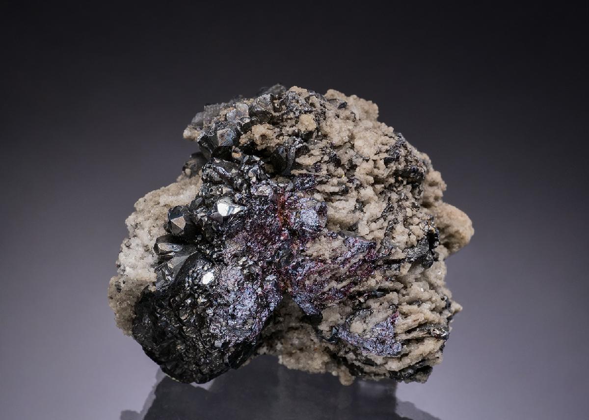 CC51552 specimen image