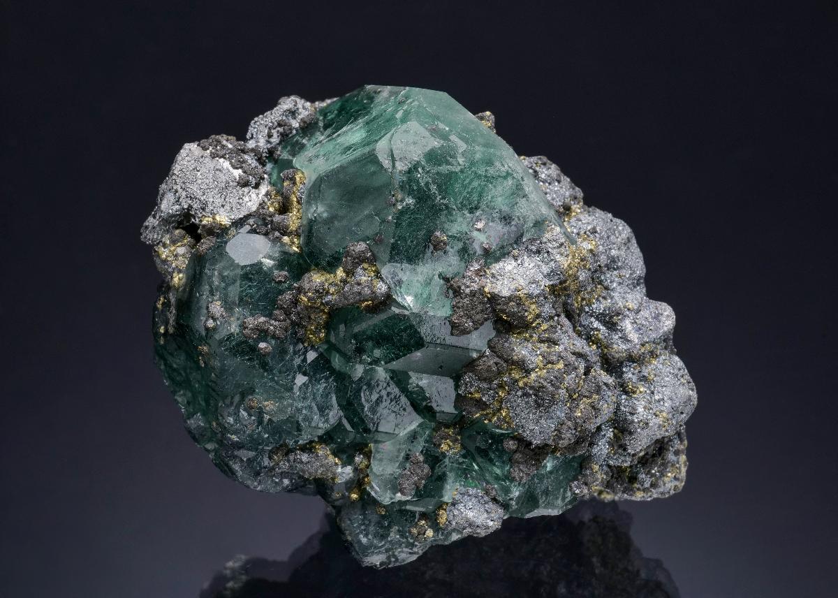 CC51580 specimen image