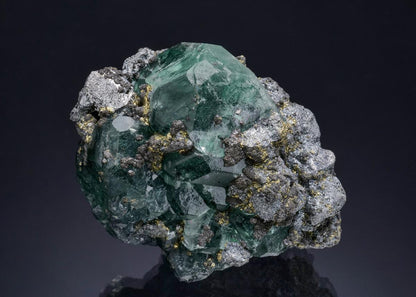 CC51580 specimen image