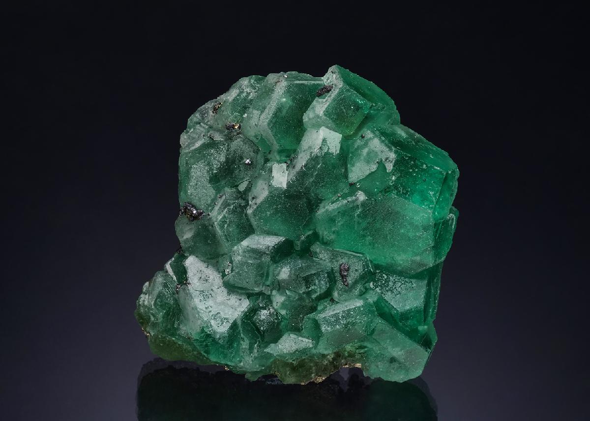 CC51596 specimen image