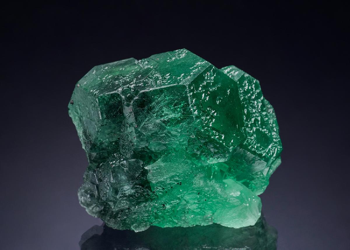 CC51624 specimen image