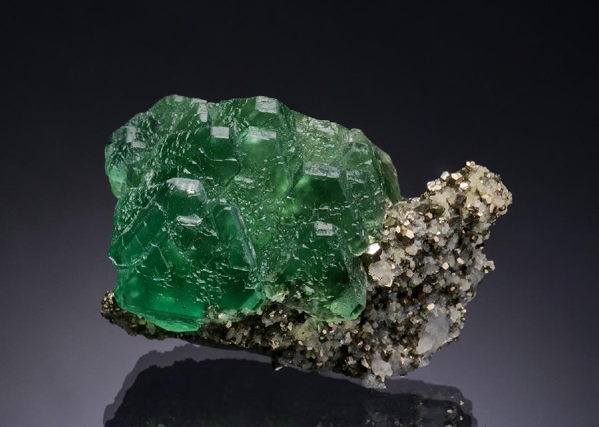 CC51632 specimen image