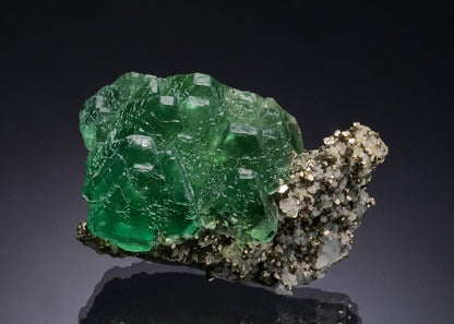 CC51632 specimen image