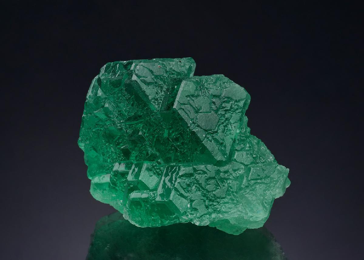 CC51636 specimen image
