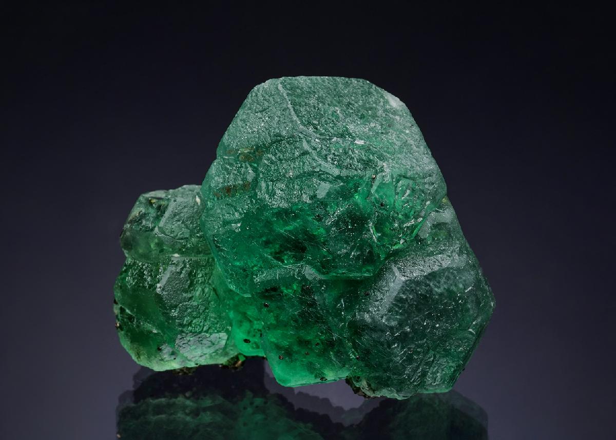 CC51640 specimen image