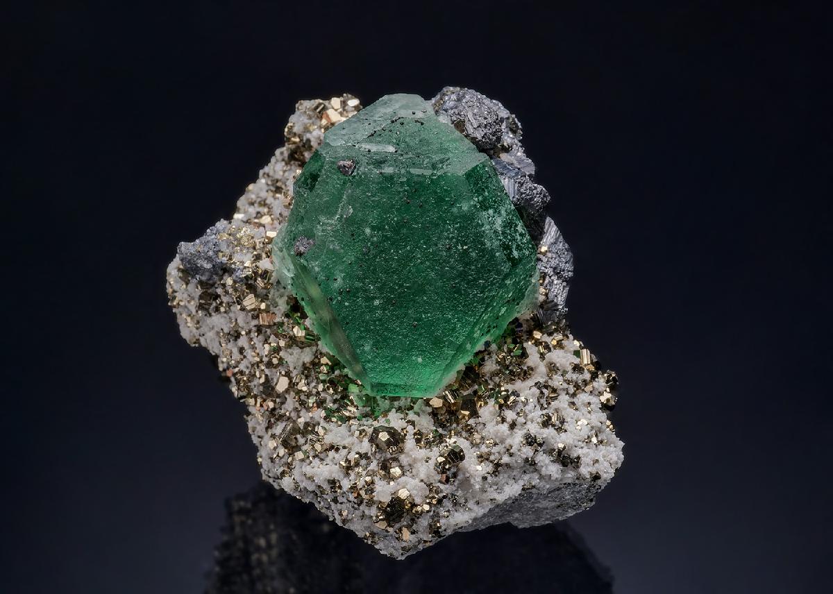 CC51646 specimen image