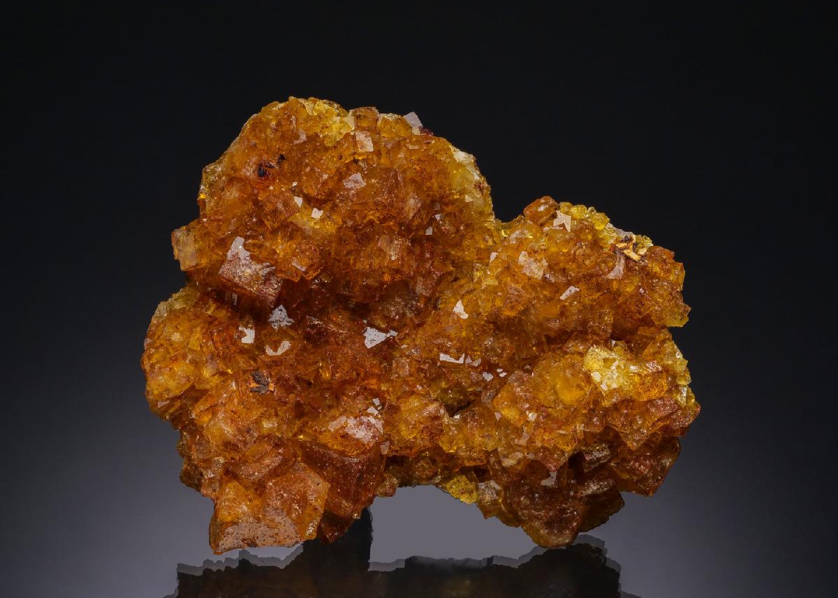 CC51658 specimen image
