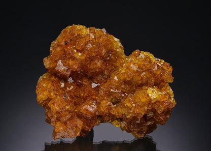 CC51658 specimen image