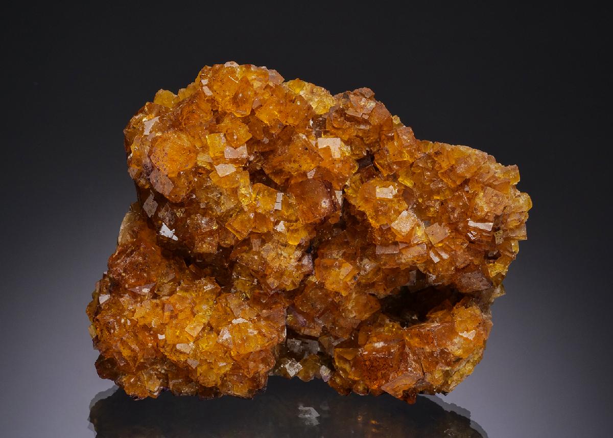 CC51666 specimen image