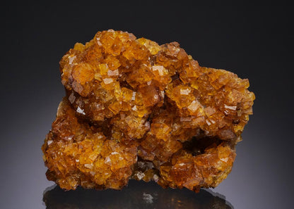 CC51666 specimen image