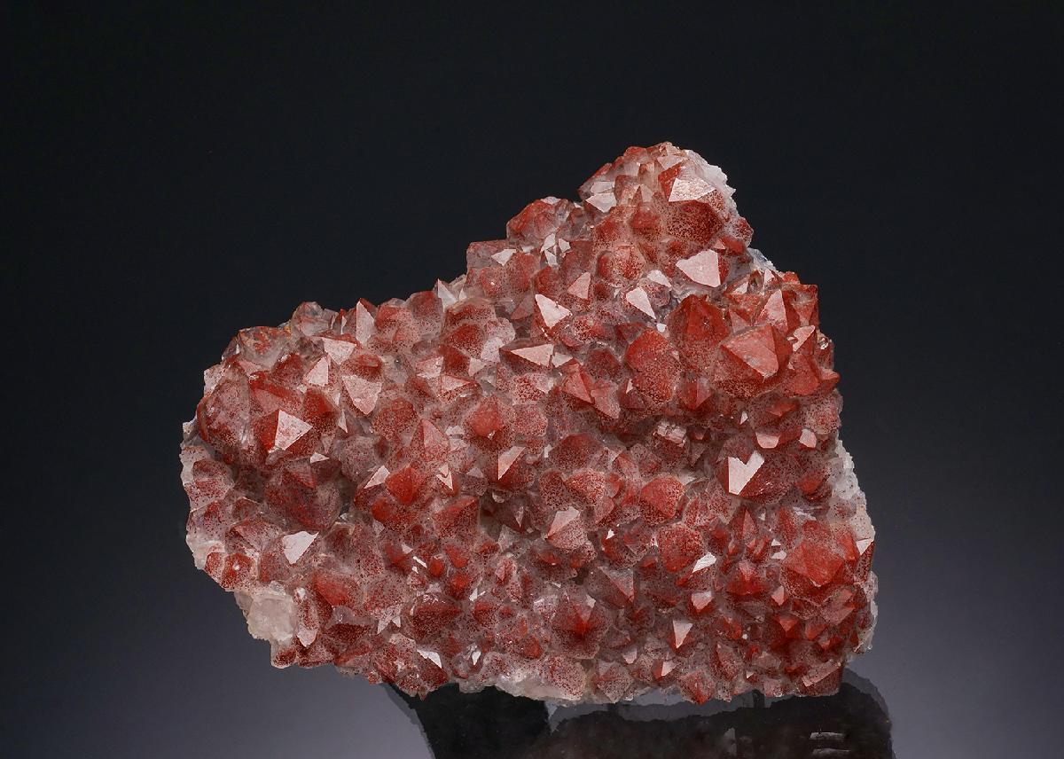 CC51704 specimen image