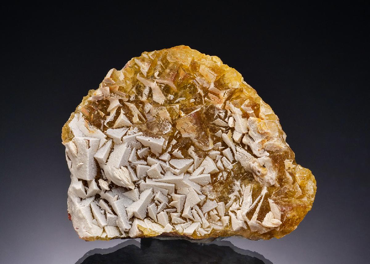 CC51750 specimen image
