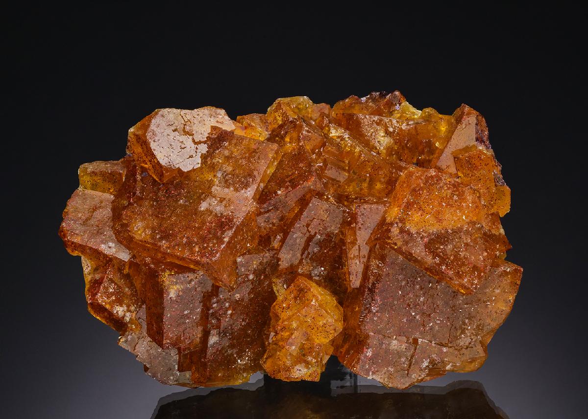 CC51760 specimen image