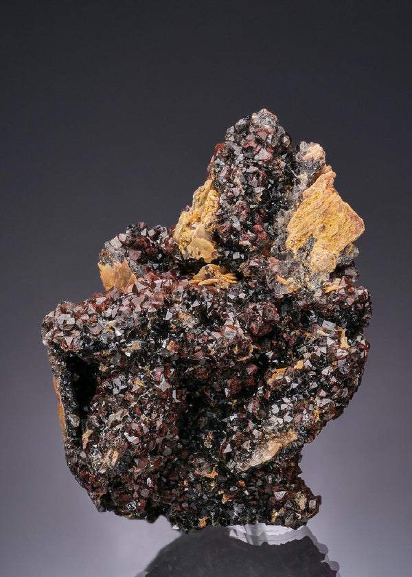CC51762 specimen image