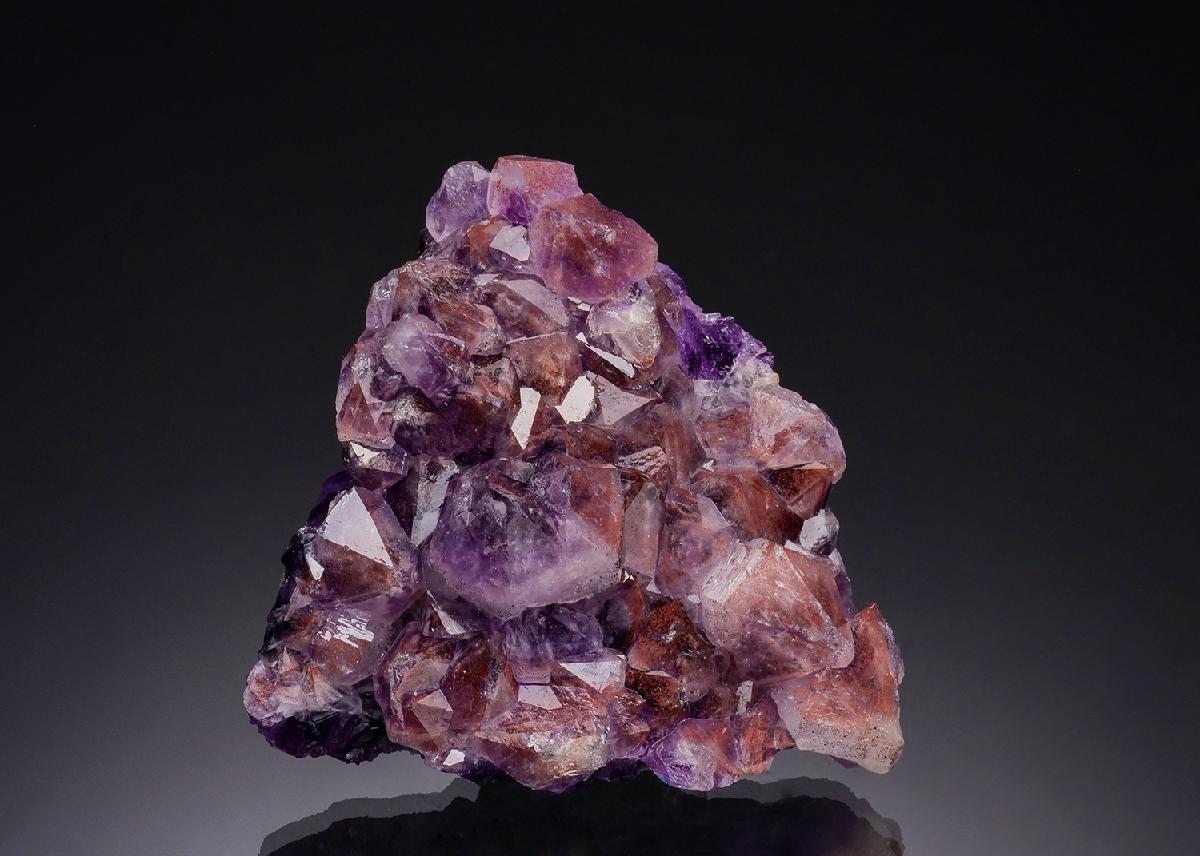 CC51778 specimen image