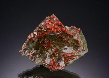 CC51782 specimen image