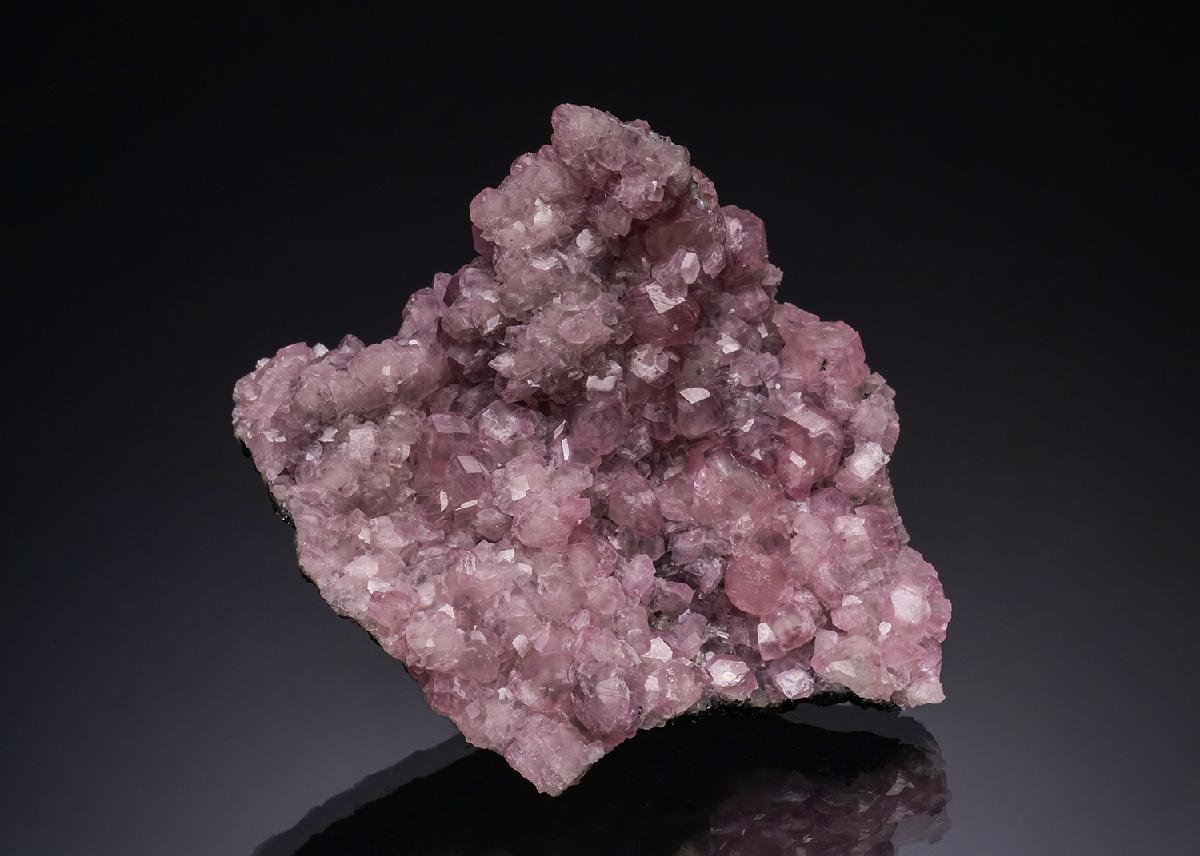 CC51806 specimen image