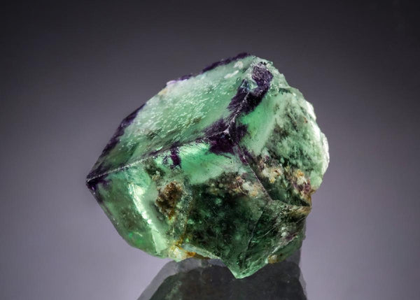 CC51826 specimen image
