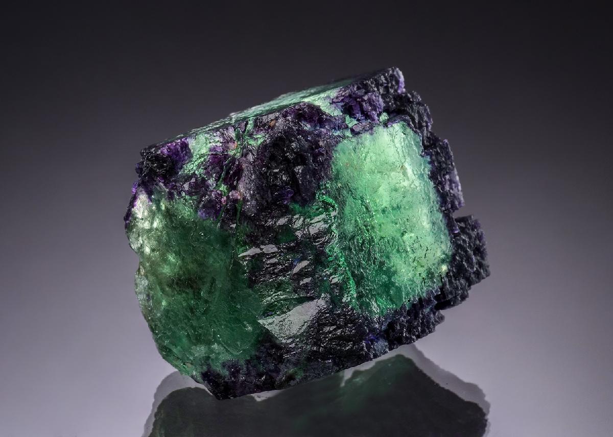 CC51828 specimen image