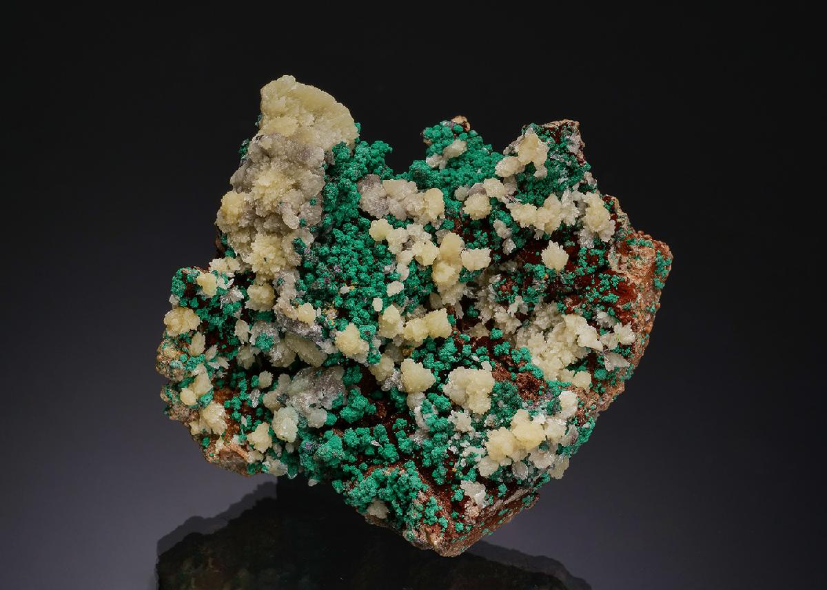 CC51844 specimen image