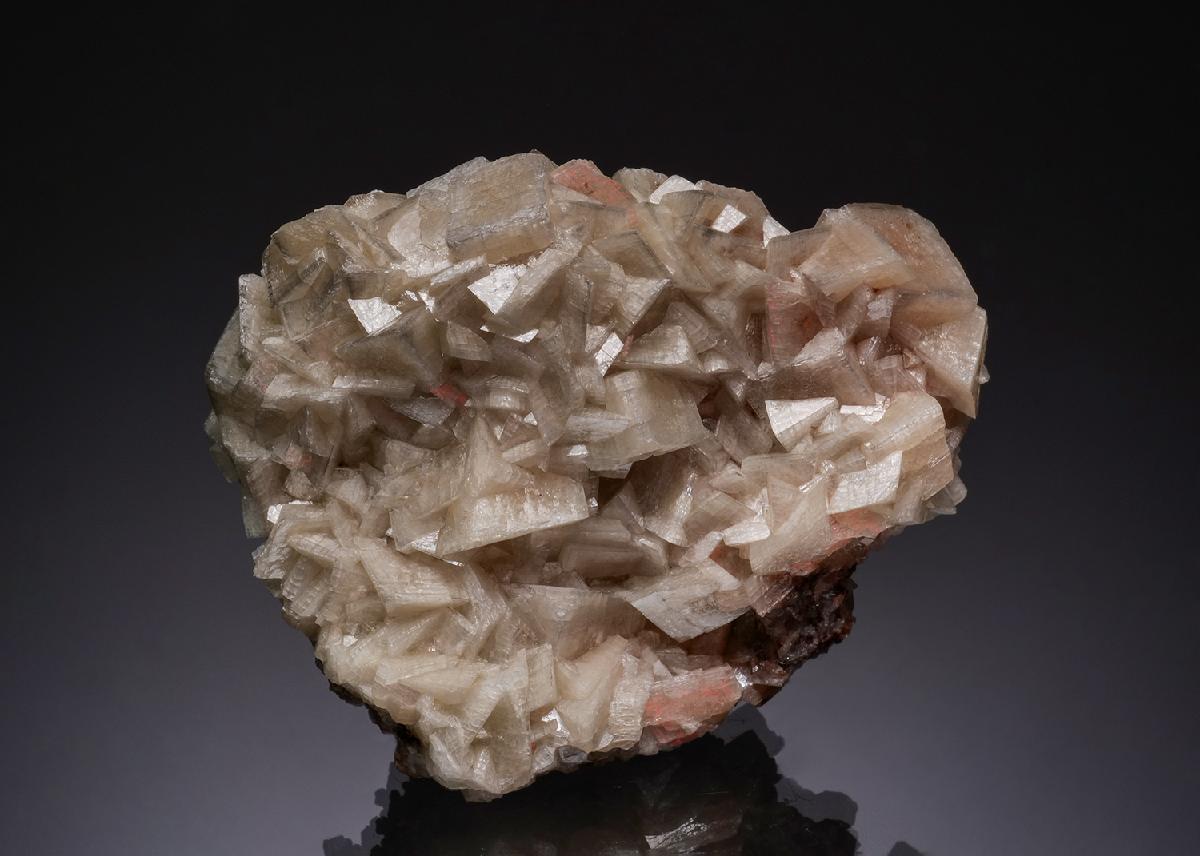 CC51848 specimen image